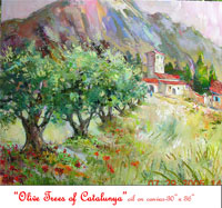 Olive trees of catalunya